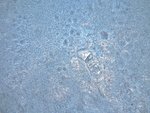 DSCF4560 (2).jpg