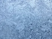 DSCF4561.webp