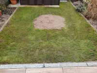 Rasenfläche_gesamt.webp