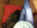 20210217_182854.jpg