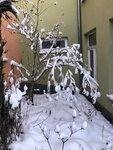 C1CD8591-13FC-4C80-874E-7966A5688FBC.jpeg