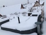 FE092738-F93A-4D1D-9662-97A09FA9D230.jpeg