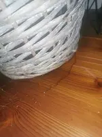 16136665829933742161301129851622.webp