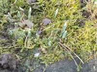DSCN0002.webp