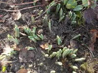 DSCN0007.webp