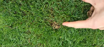 20201123_125926.webp