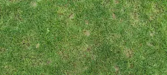 20201123_125955.webp