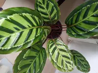 20210219_112713.jpg