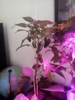 IMG_20210218_140606.webp