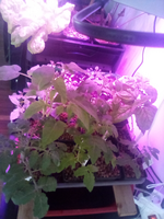 IMG_20210218_140542.webp