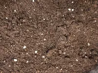 IMG_1433.webp IMG_1433.webp