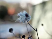 image001.webp