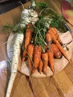 Pastinakekarotte.webp