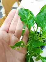 photo_2021-02-20_22-33-47.webp
