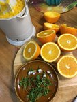 Orangensaft.JPG