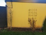 20210221_165131.jpg
