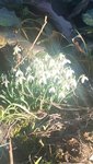 20210221_133621.jpg
