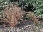 IMG_20210222_125358.jpg