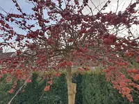 20210222_145022.webp