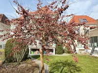 20210222_145046.webp