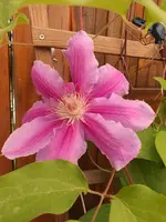 IMG-20200426-WA0001.webp