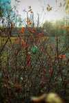 IMG_20210222_1617218-01.jpeg