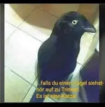 1614017701241.webp