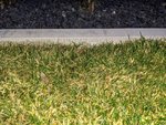 PXL_20210222_170407193.jpg