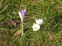 P1020716.webp