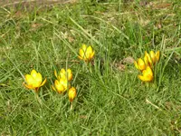 P1020717.webp