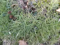 P1020720.webp