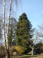 P1020726.webp