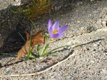 P1020737.JPG