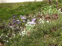 P1020738.webp