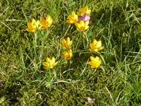 P1020740.webp