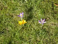 P1020741.webp