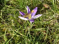 P1020742.webp