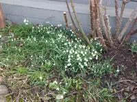P1020745.webp