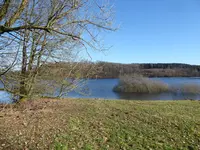 P1020771.webp