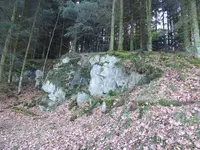 P1020772.webp