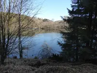 P1020774.webp