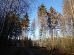 P1020775.JPG