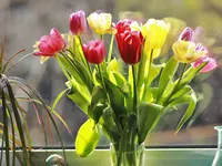 image001.webp