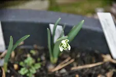 DSC09610.webp