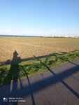 IMG_20210223_171953.jpg