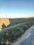 IMG_20210223_173511.jpg