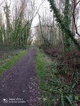 IMG_20210223_174555.jpg