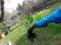 IMG-20210224-WA0000.webp