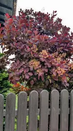 IMG_20180504_085249691_HDR (1).webp IMG_20180504_085249691_HDR (1).webp