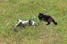 IMG_0090 v (2).webp